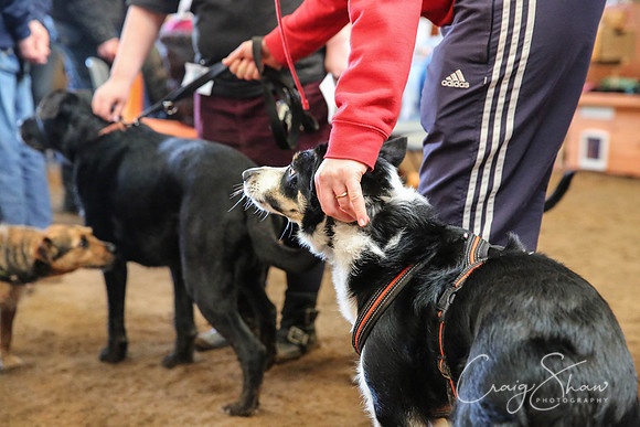 15_SpringFling2014_bluplanetphoto