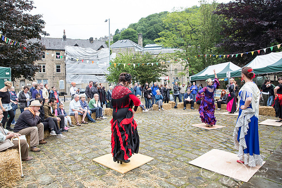 777_HBAF2015_sunday28thJune_craigshawphoto-2