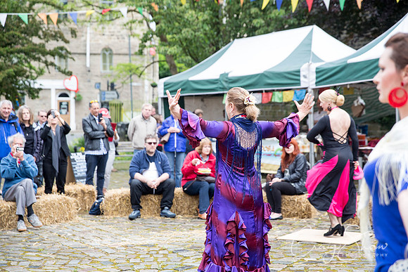 785_HBAF2015_sunday28thJune_craigshawphoto-2