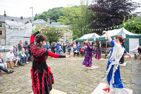 789_HBAF2015_sunday28thJune_craigshawphoto-2