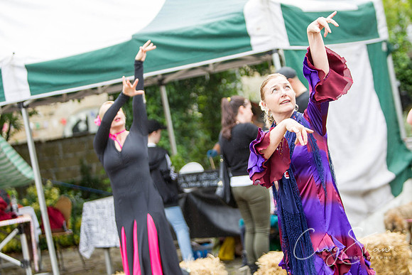 795_HBAF2015_sunday28thJune_craigshawphoto