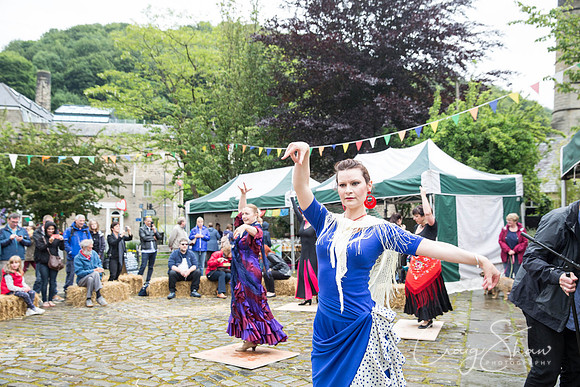 800_HBAF2015_sunday28thJune_craigshawphoto-2