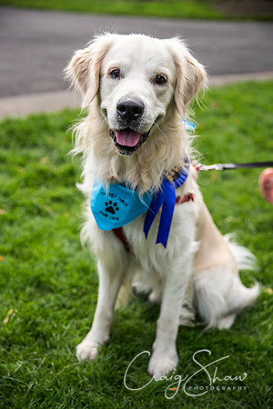 849_DoggyDashHudds2015_bluplanetphoto