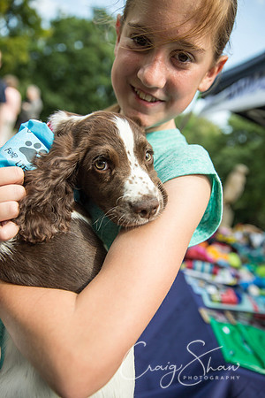 950_DoggyDashHudds2015_bluplanetphoto