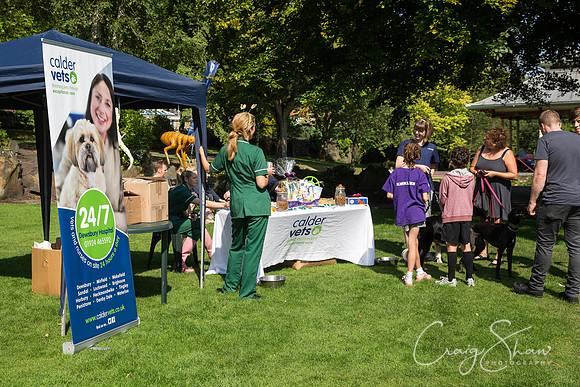 79_DoggyDashHudds2015_bluplanetphoto