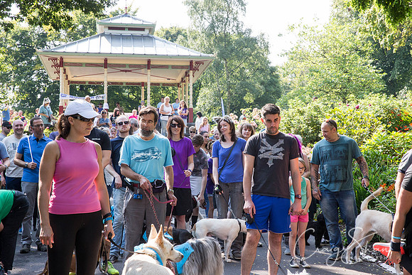 131_DoggyDashHudds2015_bluplanetphoto