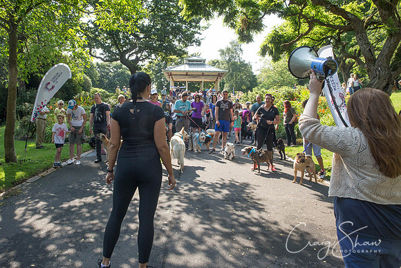 134_DoggyDashHudds2015_bluplanetphoto