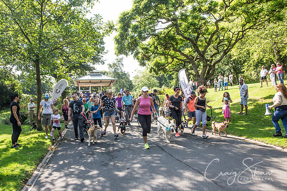 168_DoggyDashHudds2015_bluplanetphoto