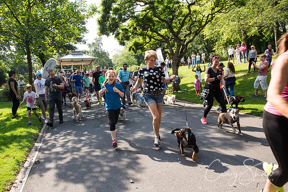 179_DoggyDashHudds2015_bluplanetphoto