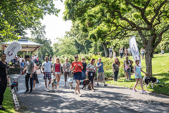 196_DoggyDashHudds2015_bluplanetphoto