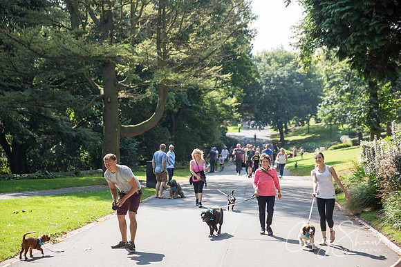 213_DoggyDashHudds2015_bluplanetphoto