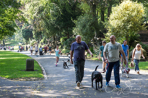 244_DoggyDashHudds2015_bluplanetphoto