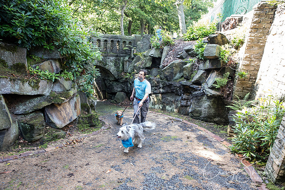 282_DoggyDashHudds2015_bluplanetphoto