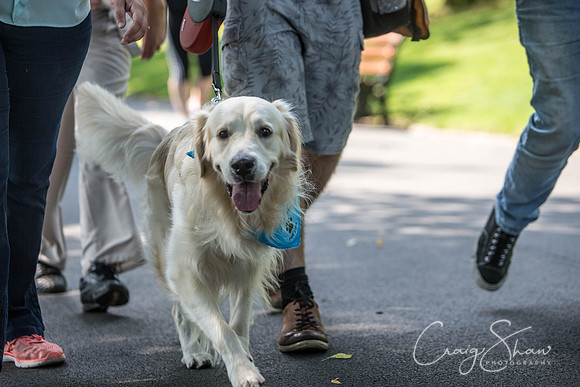 371_DoggyDashHudds2015_bluplanetphoto