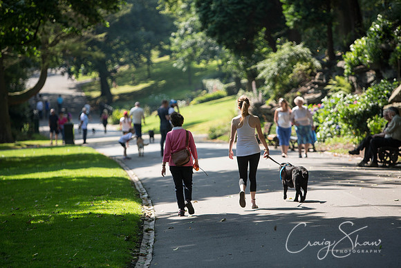 382_DoggyDashHudds2015_bluplanetphoto