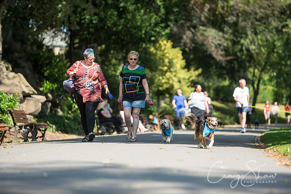 408_DoggyDashHudds2015_bluplanetphoto