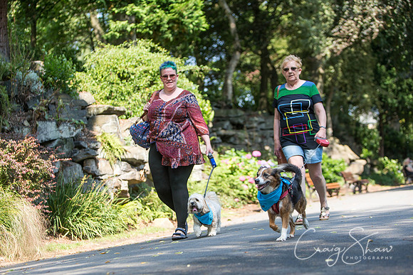 420_DoggyDashHudds2015_bluplanetphoto
