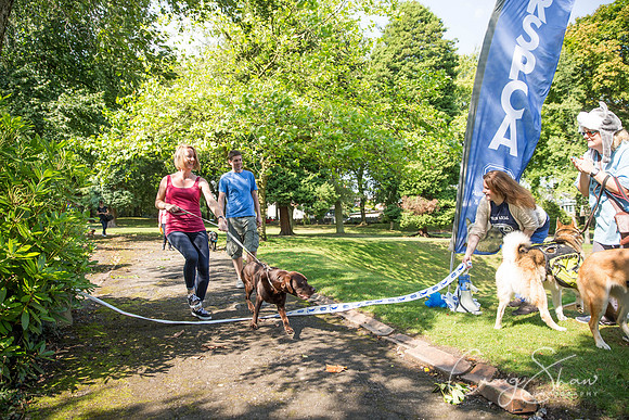 476_DoggyDashHudds2015_bluplanetphoto