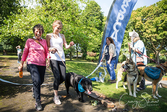 490_DoggyDashHudds2015_bluplanetphoto