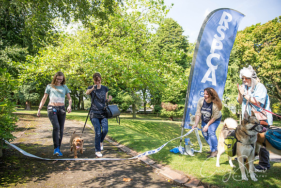 495_DoggyDashHudds2015_bluplanetphoto