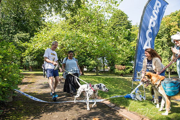 535_DoggyDashHudds2015_bluplanetphoto