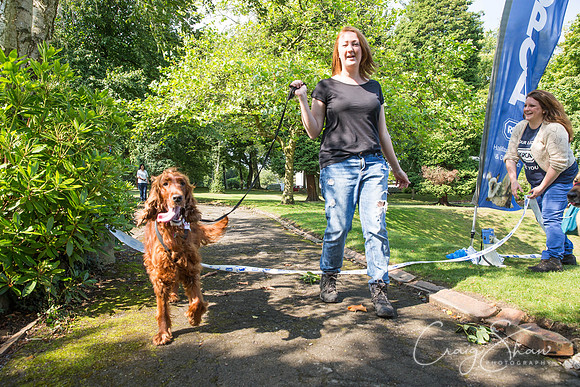 579_DoggyDashHudds2015_bluplanetphoto