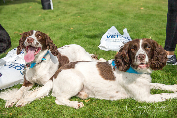 730_DoggyDashHudds2015_bluplanetphoto