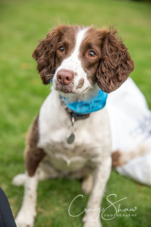 838_DoggyDashHudds2015_bluplanetphoto