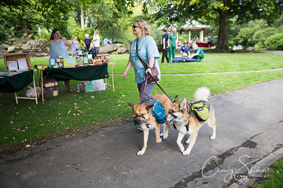 852_DoggyDashHudds2015_bluplanetphoto