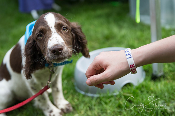 929_DoggyDashHudds2015_bluplanetphoto
