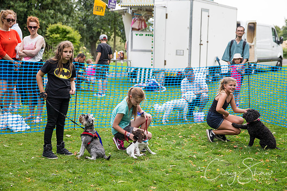 1115_DoggyDashHudds2015_bluplanetphoto