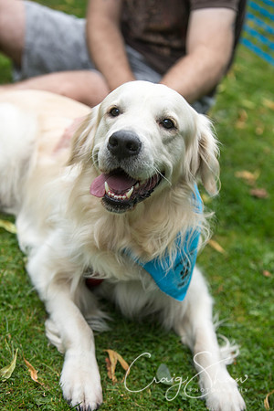 1233_DoggyDashHudds2015_bluplanetphoto