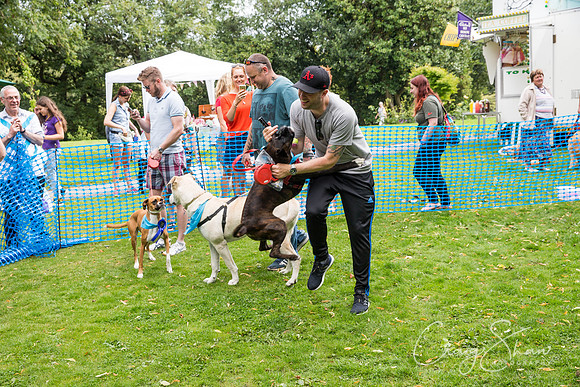 1309_DoggyDashHudds2015_bluplanetphoto