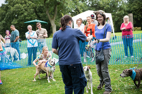 1460_DoggyDashHudds2015_bluplanetphoto