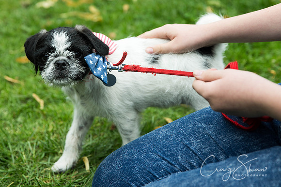 1479_DoggyDashHudds2015_bluplanetphoto
