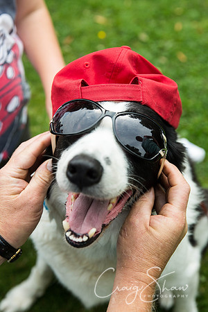 1497_DoggyDashHudds2015_bluplanetphoto