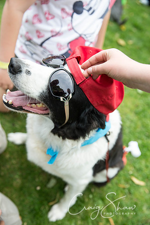 1501_DoggyDashHudds2015_bluplanetphoto