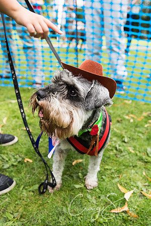 1507_DoggyDashHudds2015_bluplanetphoto
