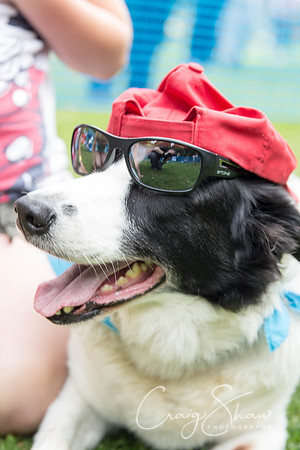 1522_DoggyDashHudds2015_bluplanetphoto