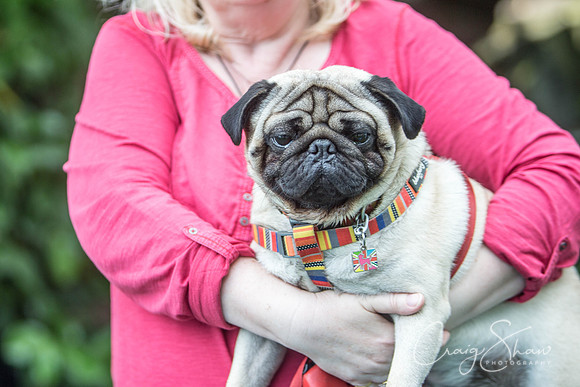 1066_DoggyDashHudds2015_bluplanetphoto