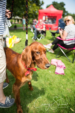 1543_DoggyDashHudds2015_bluplanetphoto