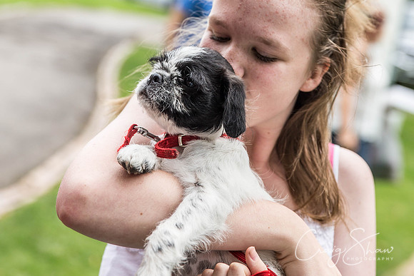 1589_DoggyDashHudds2015_bluplanetphoto
