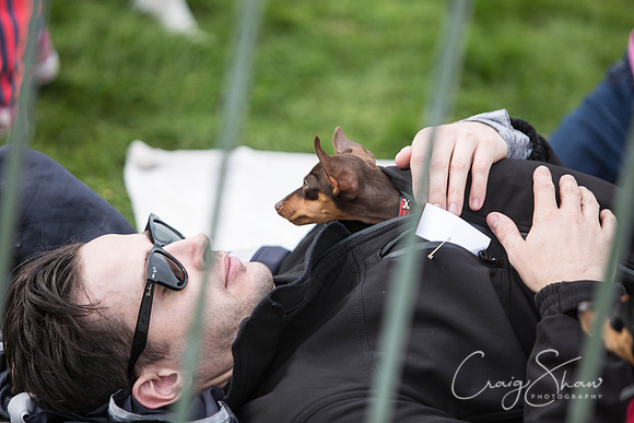 639_Woofstock2016_craigshaw