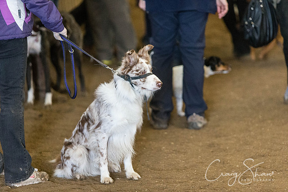 68_SpringFling2014_bluplanetphoto