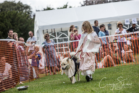 1745_K9Partyinthepark2014_RSPCAHalifax_bluplanetphoto