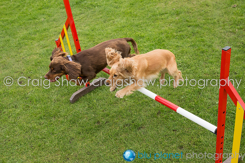 1877_SpringsPractice_Sept2015_craigshawphoto