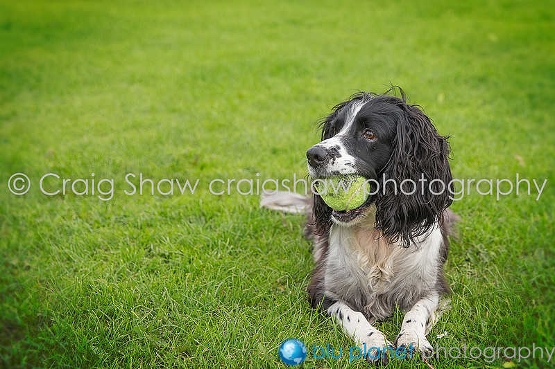 2178_SpringsPractice_Sept2015_craigshawphoto-Edit