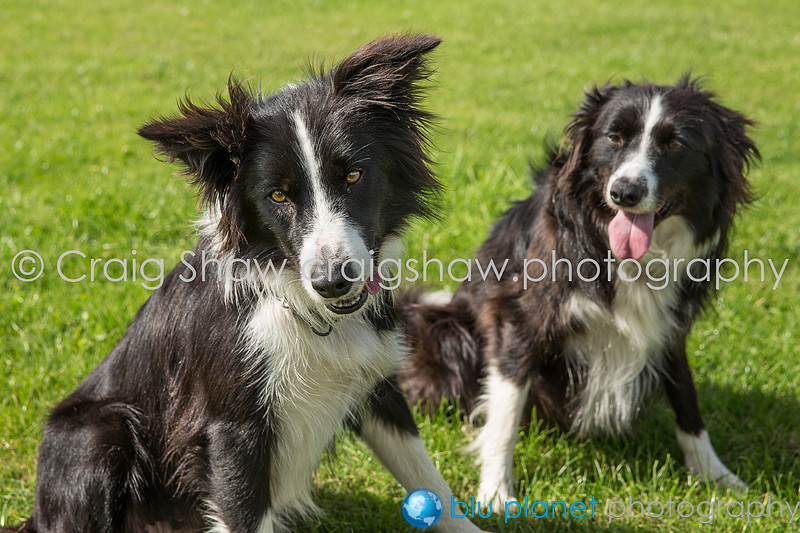208_SpringsPractice_Sept2015_craigshawphoto