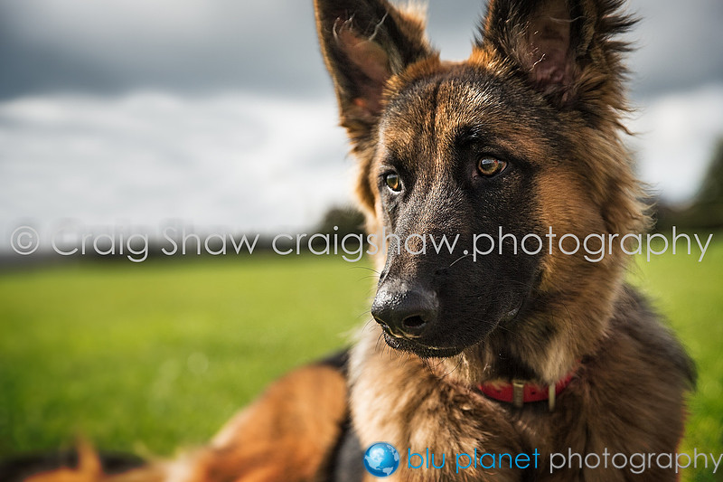 357_SpringsPractice_Sept2015_craigshawphoto-Edit-Edit