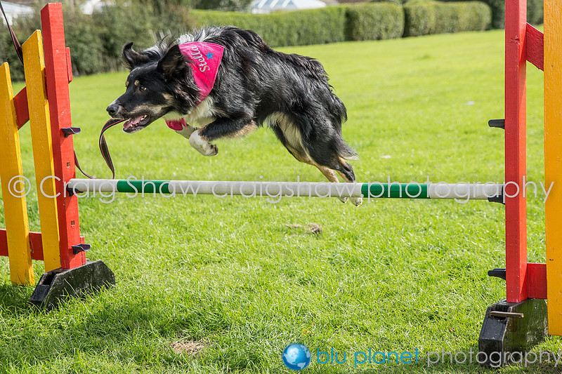 432_SpringsPractice_Sept2015_craigshawphoto